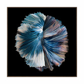 Alcove Studio Zeta Canvas Wall Art