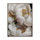 Alcove Studio Ivory Atlas Canvas Wall Art