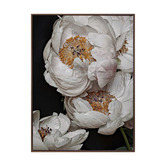 Alcove Studio Clair de Lune Canvas Wall Art