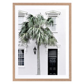 Alcove Studio Palm Street Framed Printed Wall Art