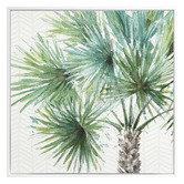 Alcove Studio Date Palm II Canvas Wall Art