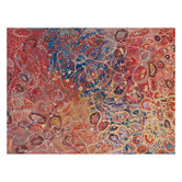 Alcove Studio Janganpa Jukurrpa Canvas Wall Art