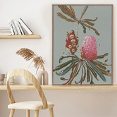 Alcove Studio Sage Banksia Canvas Wall Art