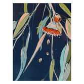 Alcove Studio Coral Flowering Gum Canvas Wall Art