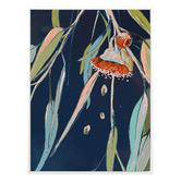 Alcove Studio Coral Flowering Gum Canvas Wall Art