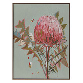 Alcove Studio Sage Waratah Canvas Wall Art