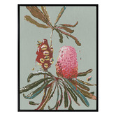 Alcove Studio Sage Banksia Canvas Wall Art