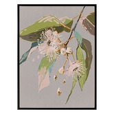 Alcove Studio Neutral Flowering Gum II Canvas Wall Art