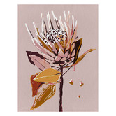 Alcove Studio Blush Protea Canvas Wall Art