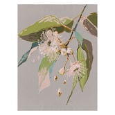 Alcove Studio Neutral Flowering Gum II Canvas Wall Art