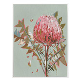 Alcove Studio Sage Waratah Canvas Wall Art