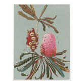 Alcove Studio Sage Banksia Canvas Wall Art