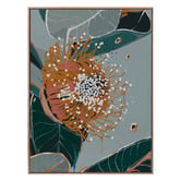 Alcove Studio Dusty Flowering Gum II Canvas Wall Art