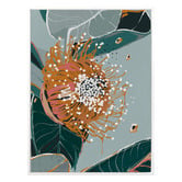 Alcove Studio Dusty Flowering Gum II Canvas Wall Art