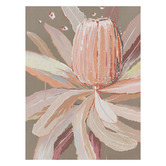 Alcove Studio Peach Banskia Canvas Wall Art