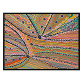 Alcove Studio Wakirlpirri Jukurrpa Multicolour Canvas Wall Art
