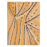 Alcove Studio Wakirlpirri Jukurrpa Ochre Canvas Wall Art