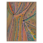 Alcove Studio Wakirlpirri Jukurrpa Multicolour Canvas Wall Art