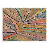 Alcove Studio Wakirlpirri Jukurrpa Multicolour Canvas Wall Art