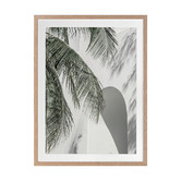 Alcove Studio Palm Shadows Printed Wall Art