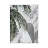 Alcove Studio Palm Shadows Printed Wall Art
