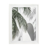 Alcove Studio Palm Shadows Printed Wall Art