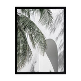 Alcove Studio Palm Shadows Printed Wall Art