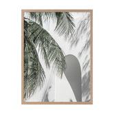 Alcove Studio Palm Shadows Printed Wall Art