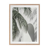 Alcove Studio Palm Shadows Printed Wall Art