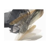 Alcove Studio Fall from Grace I Printed Wall Art