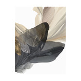 Alcove Studio Fall from Grace II Printed Wall Art