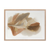 Alcove Studio Weightlessness I Printed Wall Art