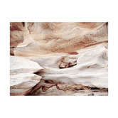 Alcove Studio Canyon Wall Printed Wall Art