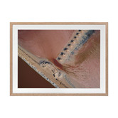 Alcove Studio Clay Fields Printed Wall Art