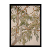 Alcove Studio Golden Hour Gum Tree Printed Wall Art