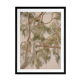 Alcove Studio Golden Hour Gum Tree Printed Wall Art