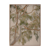 Alcove Studio Golden Hour Gum Tree Printed Wall Art
