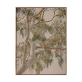 Alcove Studio Golden Hour Gum Tree Printed Wall Art