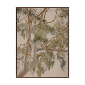 Alcove Studio Golden Hour Gum Tree Printed Wall Art