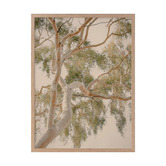 Alcove Studio Golden Hour Gum Tree Printed Wall Art