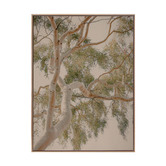 Alcove Studio Golden Hour Gum Tree Printed Wall Art