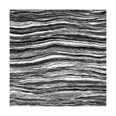 Alcove Studio Dhaagun Black Canvas Wall Art