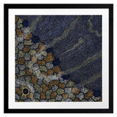 Alcove Studio Napalijarri-warnu Jukurrpa Seven Sisters Dreaming Printed Wall Art