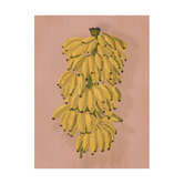 Alcove Studio Platano II Pink Printed Wall Art