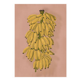 Alcove Studio Platano II Pink Printed Wall Art