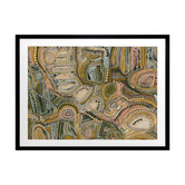 Alcove Studio Wiraywinhangin Marramarra Printed Wall Art