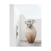 Alcove Studio Terracotta Pot Printed Wall Art