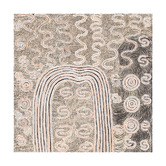 Alcove Studio Wardapi Jukurrpa Printed Wall Art