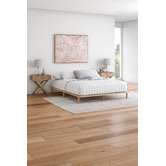 Alcove Studio Dalman Printed Wall Art