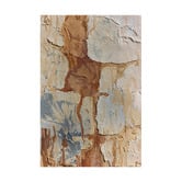 Alcove Studio Weathered Clay II Canvas Wall Art